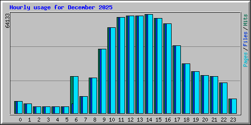 Hourly usage for December 2025